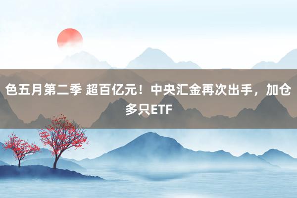 色五月第二季 超百亿元！中央汇金再次出手，加仓多只ETF