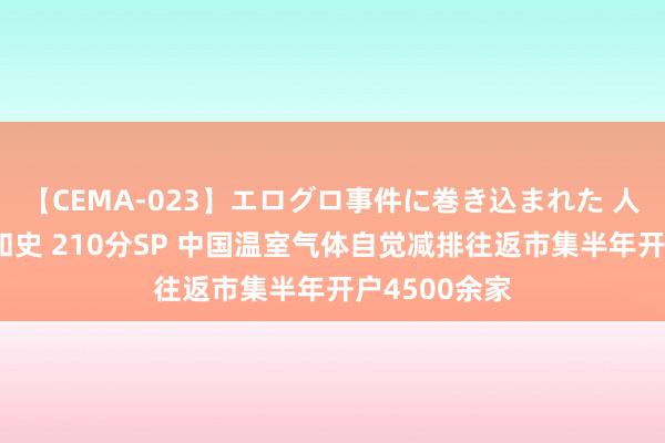 【CEMA-023】エログロ事件に巻き込まれた 人妻たちの昭和史 210分SP 中国温室气体自觉减排往返市集半年开户4500余家