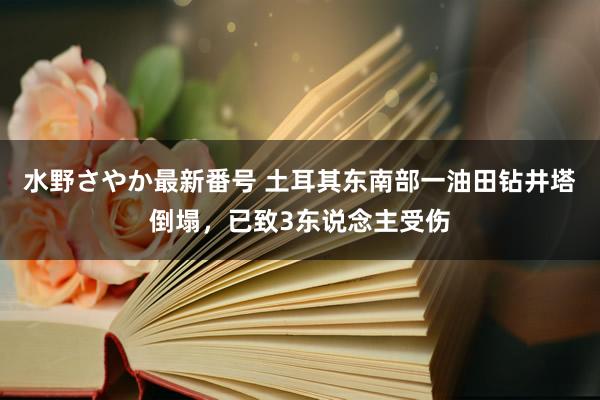 水野さやか最新番号 土耳其东南部一油田钻井塔倒塌，已致3东说念主受伤