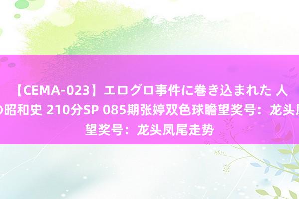 【CEMA-023】エログロ事件に巻き込まれた 人妻たちの昭和史 210分SP 085期张婷双色球瞻望奖号：龙头凤尾走势