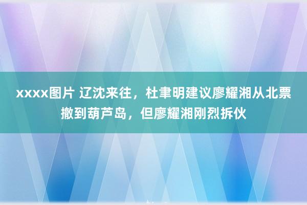 xxxx图片 辽沈来往，杜聿明建议廖耀湘从北票撤到葫芦岛，但廖耀湘刚烈拆伙