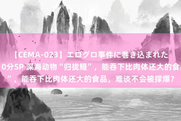 【CEMA-023】エログロ事件に巻き込まれた 人妻たちの昭和史 210分SP 深海动物“归拢鳗”，能吞下比肉体还大的食品，难谈不会被撑爆？