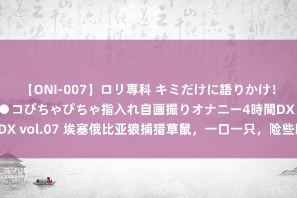 【ONI-007】ロリ専科 キミだけに語りかけ！ロリっ娘20人！オマ●コぴちゃぴちゃ指入れ自画撮りオナニー4時間DX vol.07 埃塞俄比亚狼捕猎草鼠，一口一只，险些即是实验版打地鼠