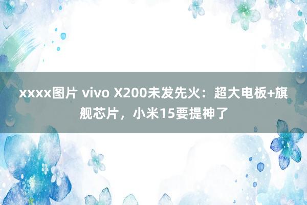 xxxx图片 vivo X200未发先火：超大电板+旗舰芯片，小米15要提神了