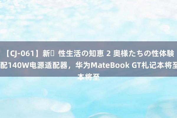 【CJ-061】新・性生活の知恵 2 奥様たちの性体験 配140W电源适配器，华为MateBook GT札记本将至