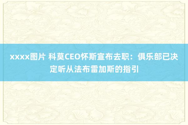 xxxx图片 科莫CEO怀斯宣布去职：俱乐部已决定听从法布雷加斯的指引