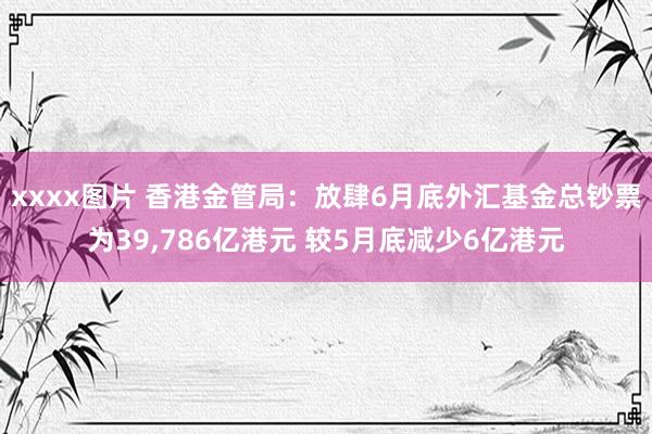 xxxx图片 香港金管局：放肆6月底外汇基金总钞票为39，786亿港元 较5月底减少6亿港元