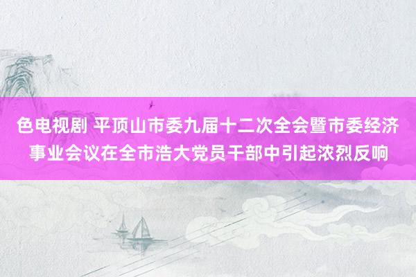 色电视剧 平顶山市委九届十二次全会暨市委经济事业会议在全市浩大党员干部中引起浓烈反响