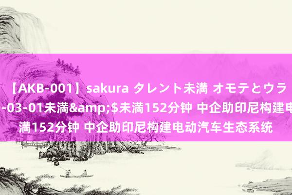 【AKB-001】sakura タレント未満 オモテとウラ</a>2009-03-01未満&$未満152分钟 中企助印尼构建电动汽车生态系统