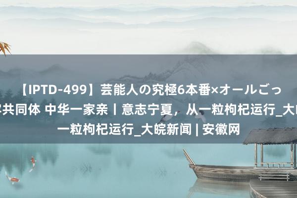 【IPTD-499】芸能人の究極6本番×オールごっくん AYA 铸牢共同体 中华一家亲丨意志宁夏，从一粒枸杞运行_大皖新闻 | 安徽网