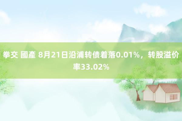 拳交 國產 8月21日沿浦转债着落0.01%，转股溢价率33.02%