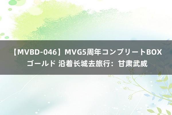 【MVBD-046】MVG5周年コンプリートBOX ゴールド 沿着长城去旅行：甘肃武威