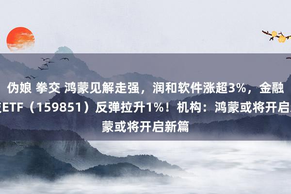 伪娘 拳交 鸿蒙见解走强，润和软件涨超3%，金融科技ETF（159851）反弹拉升1%！机构：鸿蒙或将开启新篇