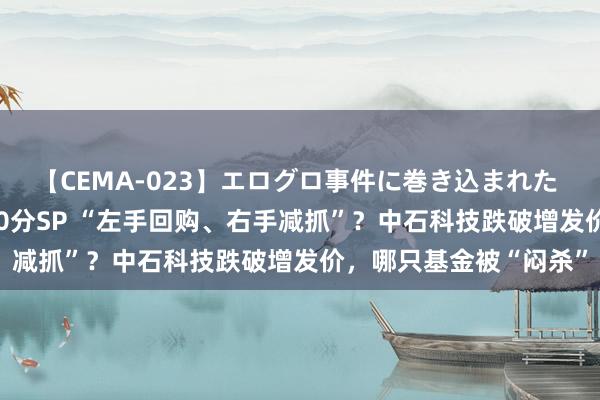 【CEMA-023】エログロ事件に巻き込まれた 人妻たちの昭和史 210分SP “左手回购、右手减抓”？中石科技跌破增发价，哪只基金被“闷杀”