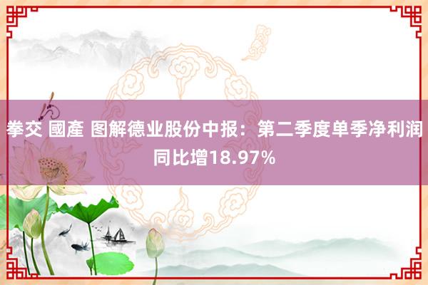 拳交 國產 图解德业股份中报：第二季度单季净利润同比增18.97%