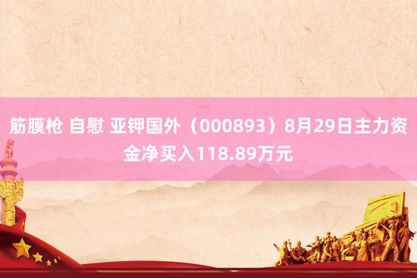 筋膜枪 自慰 亚钾国外（000893）8月29日主力资金净买入118.89万元