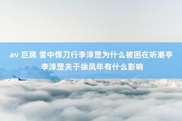 av 巨屌 雪中悍刀行李淳罡为什么被困在听潮亭 李淳罡关于徐凤年有什么影响