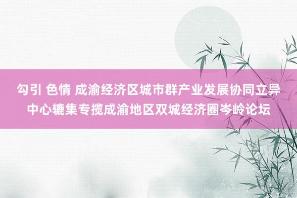 勾引 色情 成渝经济区城市群产业发展协同立异中心辘集专揽成渝地区双城经济圈岑岭论坛