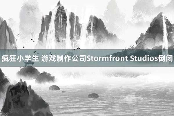 疯狂小学生 游戏制作公司Stormfront Studios倒闭