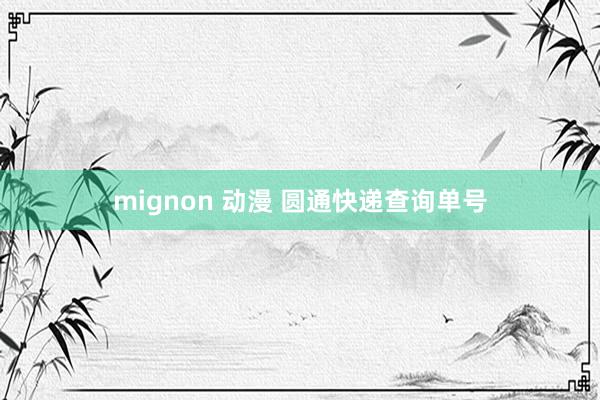 mignon 动漫 圆通快递查询单号